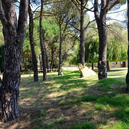 Brugueres